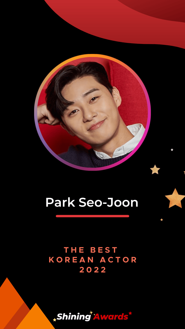 Park Seo Joon The Best Korean Actor 2022 Shining Awards