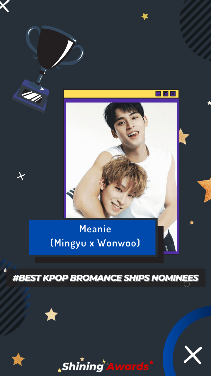 Meanie (Mingyu x Wonwoo) Bromance Ships