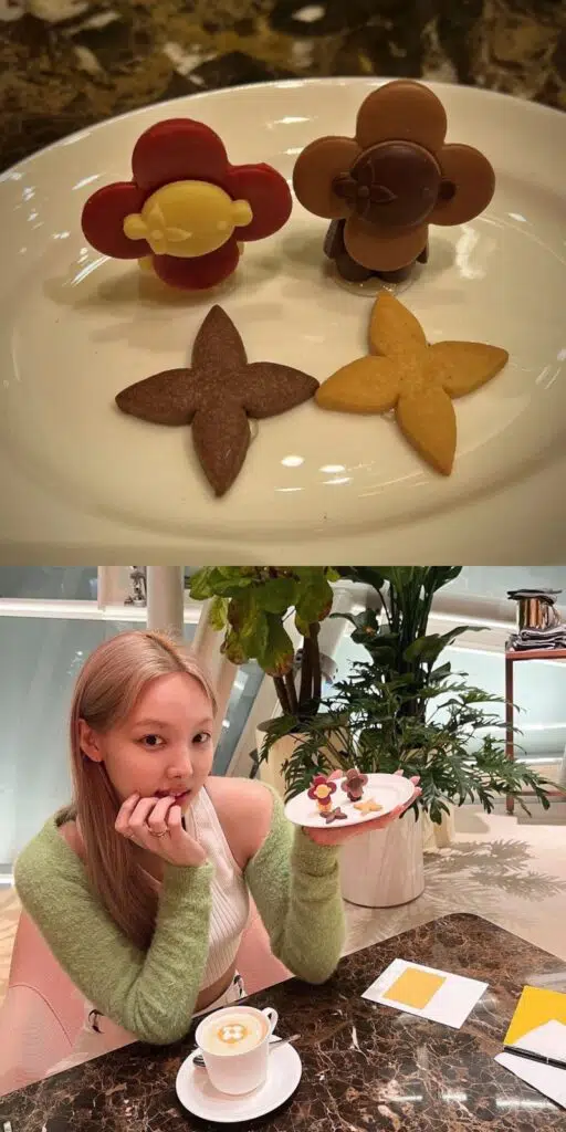 Nayeon J Hope 1.jpeg