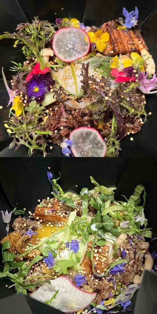 Nayeon J Hope 2.jpeg