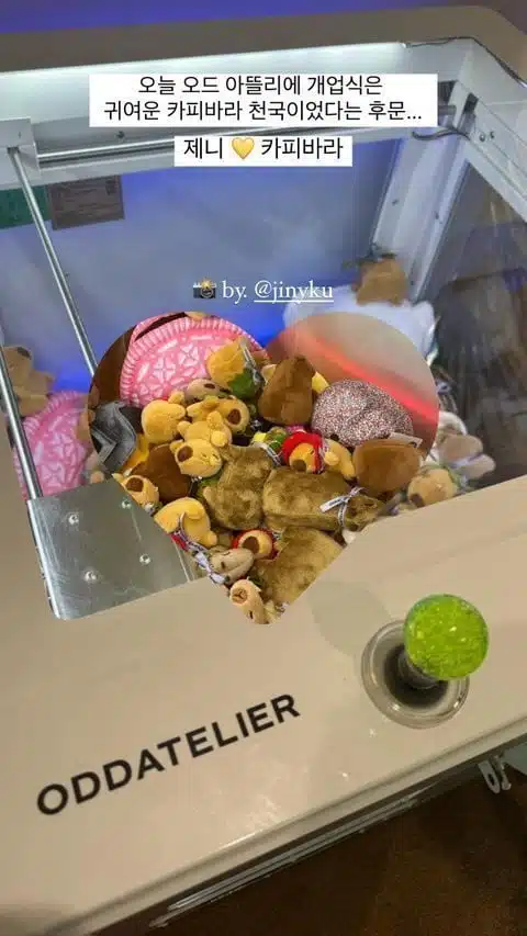 BLACKPINK's Jennie Held a Lavish Party to Celebrate The Founding of ODDATELIER 6 5