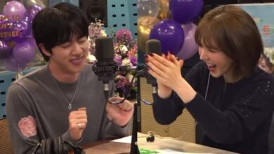 Netizens Love the Heartwarming Chemistry Between BTS Jin and Red Velvet Wendy on Radio Show 9 Netizens adore BTS Jin and Red Velvet Wendy's heartwarming chemistry on radio show