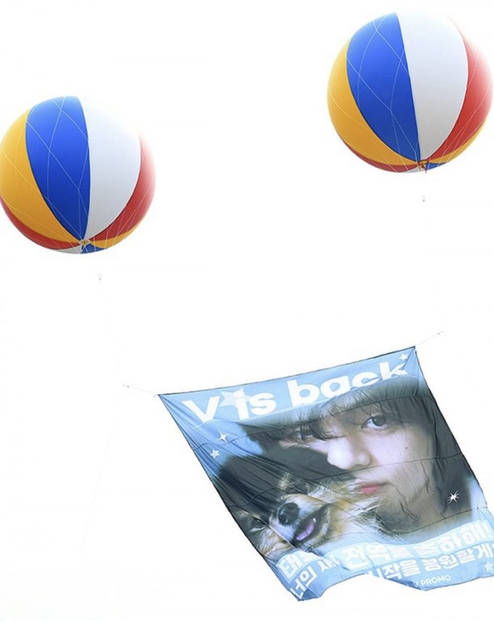 RM and V greeting fans