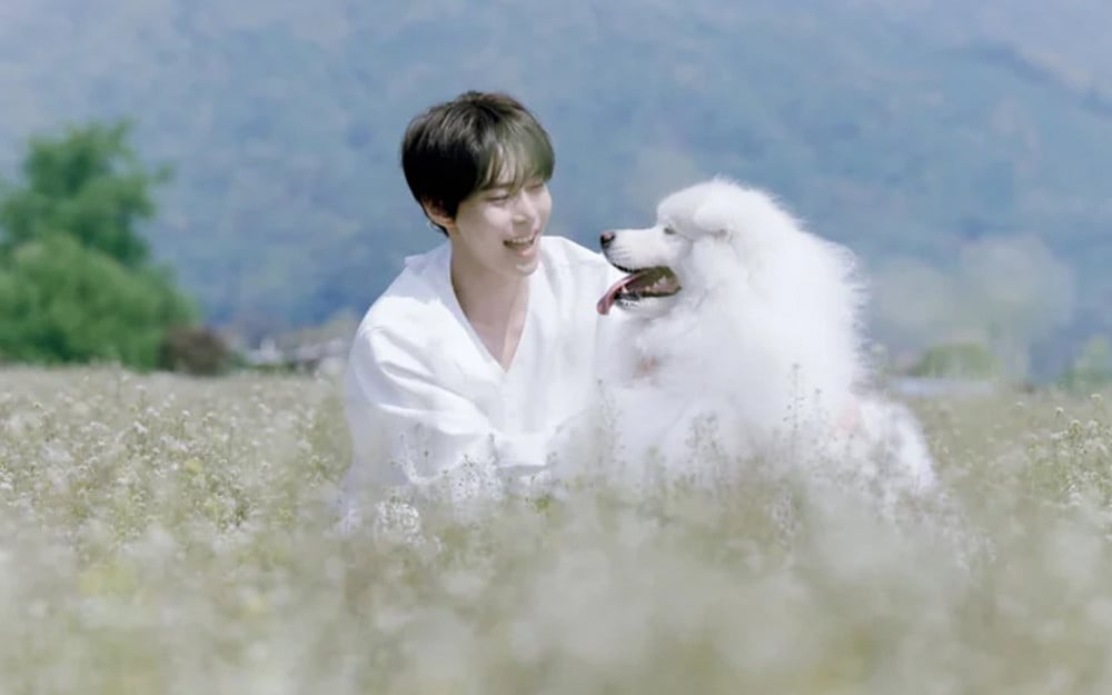 Doyoung teaser photo