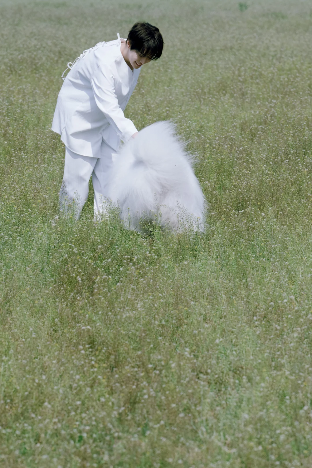 Additional teaser images