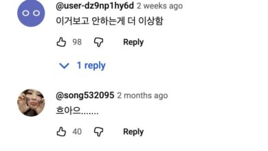 IVE Encounters Sexual Harassment From Korean Men Following Viral "Upskirt" Videos 26 YouTube comments on IVE fancam