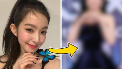 Red Velvet Irene’s Waist Measurement in Viral Red Carpet Photos Causes Major Surprise 12 Irene KGMA Waist