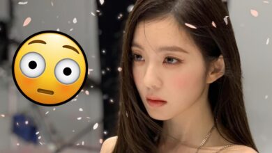 Red Velvet’s Irene Creates Surprise at 2025 MAMA Awards 23 Red Velvet Irene MAMA vote ranking