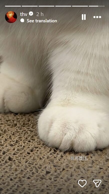 BTS’s V Fuels Speculation With Recent Instagram Story 3 V close-up