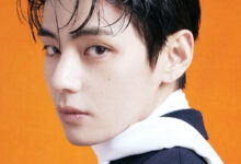 BTS V Stock-Rich Photo