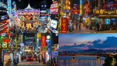 Exploring Seoul’s Creative Neighborhoods Loved by International K-Pop Fans 7 Exploring Seoul’s Creative Neighborhoods Loved by International K-Pop Fans