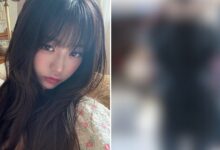 IVE Wonyoung Airport Controversy