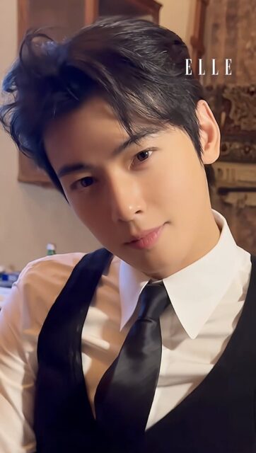 Astro’s Cha Eunwoo Faces Tax Evasion Allegations Amounting To $13.7 Million USD 2 Cha Eunwoo Investigation Documents