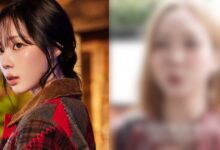 Winter vs Look-Alike