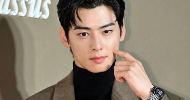 Cha Eunwoo Tax Investigation