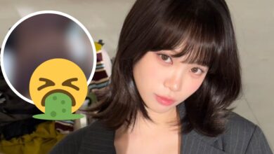 LE SSERAFIM Chaewon controversy