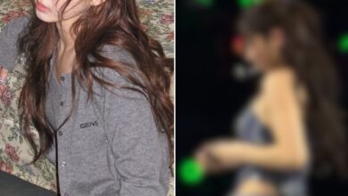 Widely Known Third-Generation Female Idol’s "Professionalism" Sparks Lip-Syncing Claims 22 TWICE Nayeon Phoenix Tour Backlash