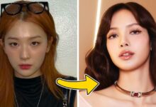 Red Velvet and BLACKPINK Lisa controversy