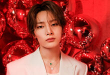 Stray Kids I.N Donation