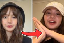 BLACKPINK DEADLINE Tour & Lisa New Album Hint