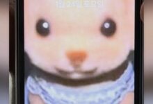 IVE Yujin's Reported Romance With Well-Known Actor Sparks Huge Response 22 IVE Yujin