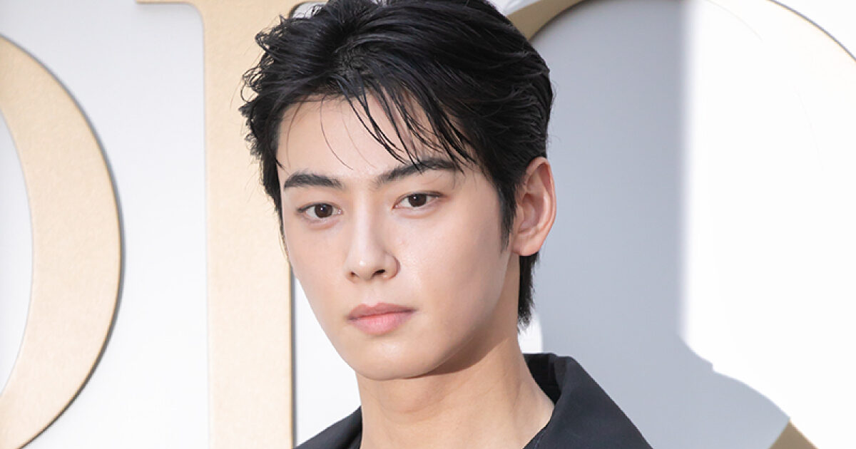 National Assembly Proposes The "Cha Eunwoo Prevention Act"