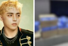 "Proof" Of SEVENTEEN Faking Album Sales Goes Viral, Triggering Strong Reactions