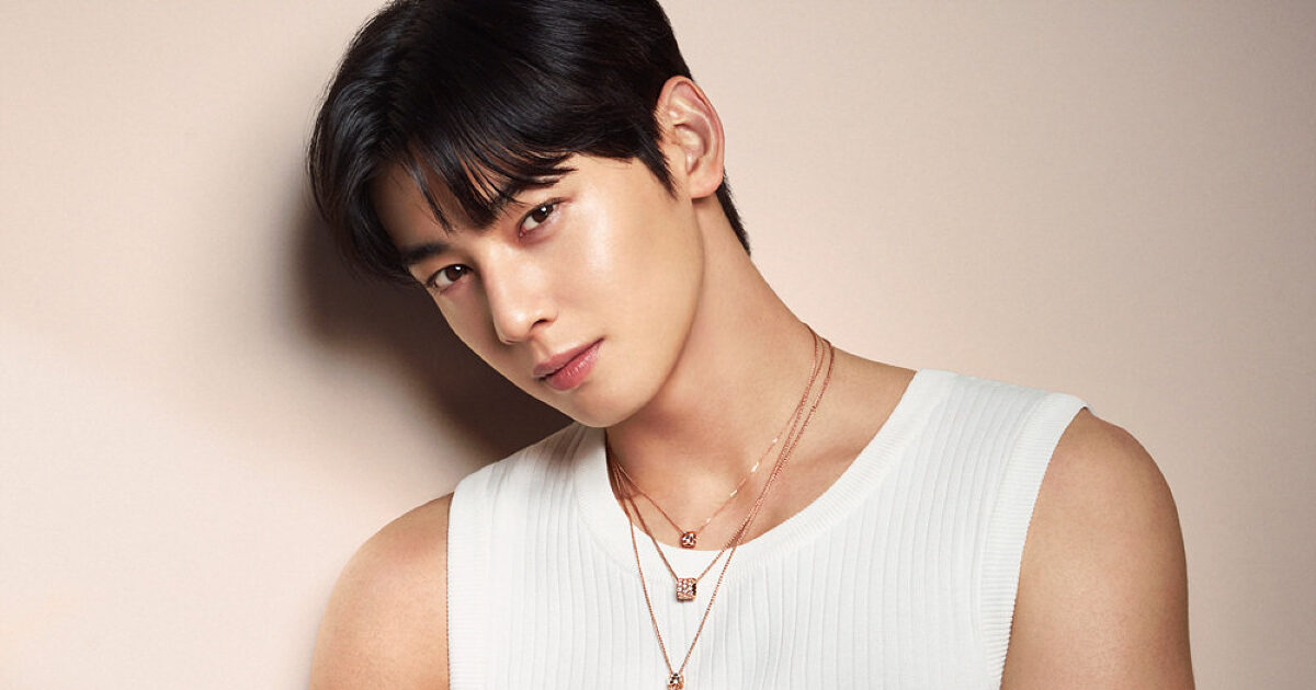 Why ASTRO's Cha Eunwoo Hasn't Settled His Tax Evasion Payment Yet 1 The Reason ASTRO's Cha Eunwoo Didn't Pay His Tax Evasion Bill Until Now