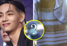BTS V's New Hair Is Confusing Everybody