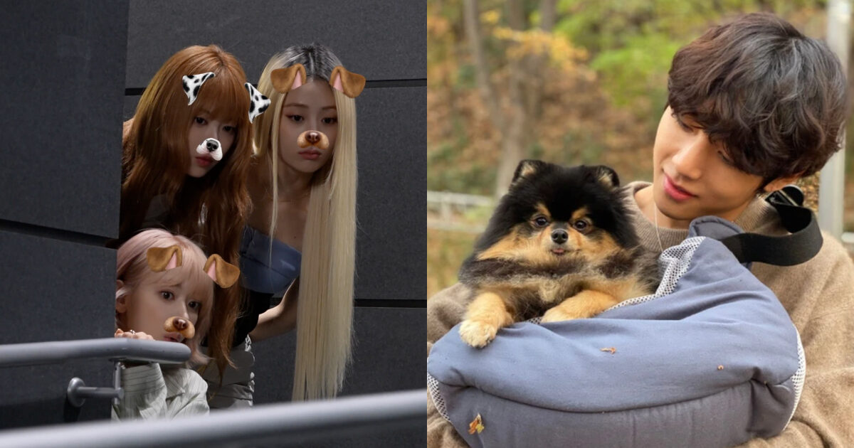 LE SSERAFIM Faces Backlash Over Alleged Use of BTS V’s Dog in Recent Video 1 LE SSERAFIM BOOMPALA Challenge