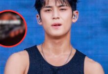 Toxic Masculininty Or Admiration? SEVENTEEN Mingyu's Phone Wallpaper Leaves Netizens Up In Arms