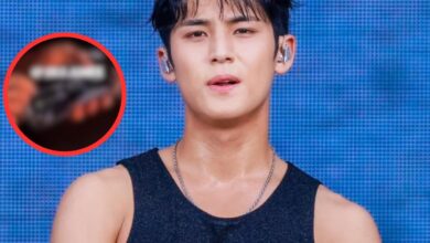 Toxic Masculininty Or Admiration? SEVENTEEN Mingyu's Phone Wallpaper Leaves Netizens Up In Arms