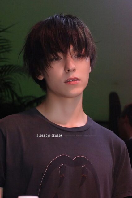 Vernon new look
