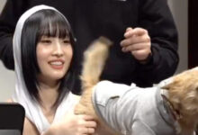 Fan In The Viral TWICE’s Momo Video Directly Speaks Up Against Recent Allegations