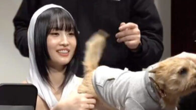 Fan In The Viral TWICE’s Momo Video Directly Speaks Up Against Recent Allegations