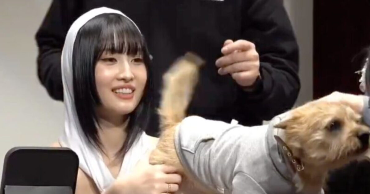 Fan In The Viral TWICE’s Momo Video Directly Speaks Up Against Recent Allegations