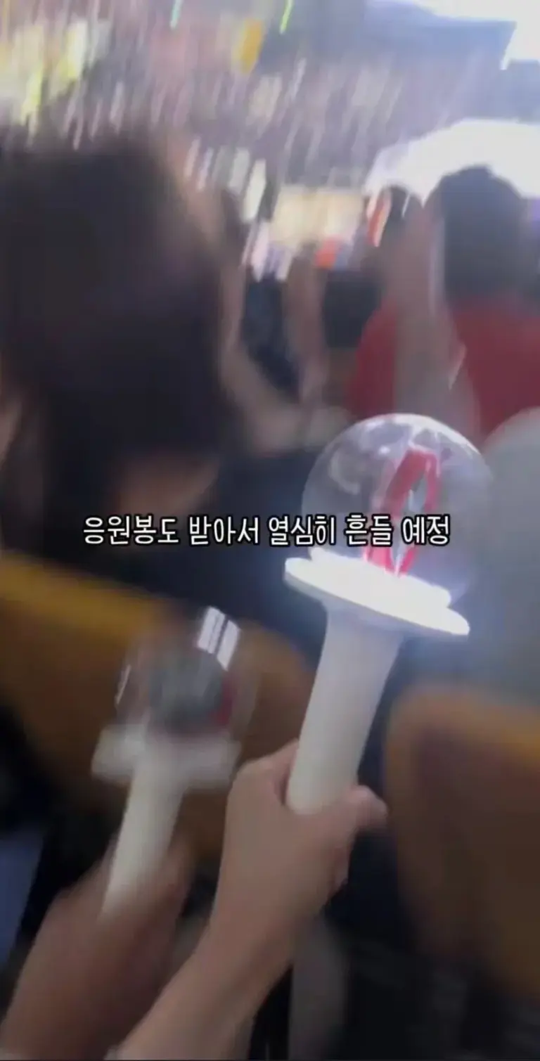 Stray Kids concert with influencers receiving VIP perks