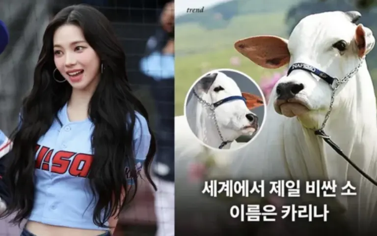 aespa's Karina reacts proudly to million-dollar cow Carina FIV do Kado 2 aespa's Karina reacts proudly to million-dollar cow Carina FIV do Kado