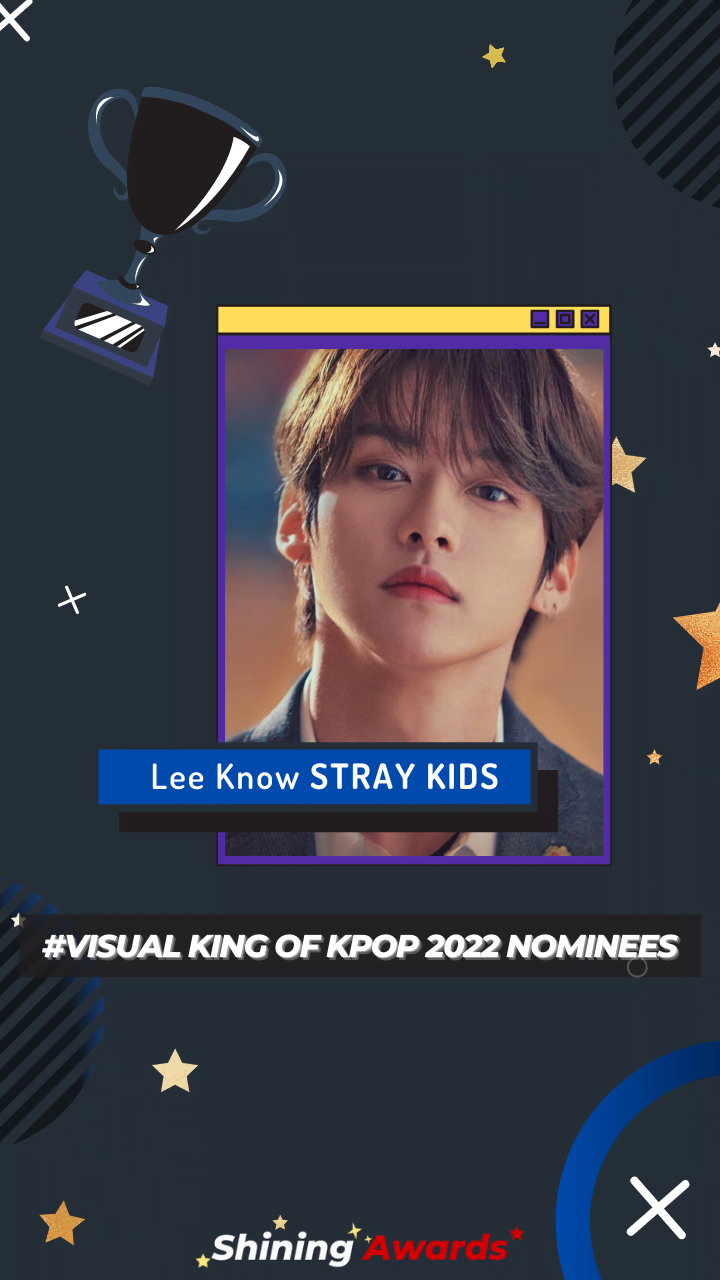 Lee Know STRAY KIDS Visual King of Kpop 2022