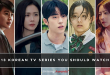 13 Korean TV Series You Should Watch