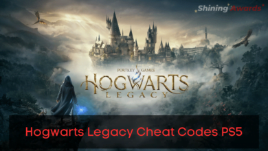Hogwarts Legacy Cheat Codes PS5