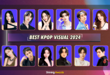 Best Kpop Visual 2024