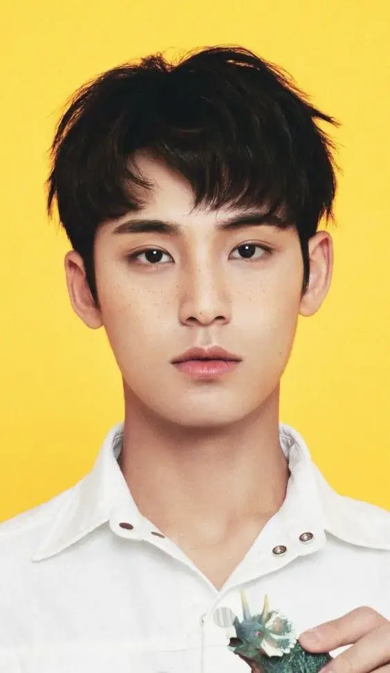 SEVENTEEN Mingyu