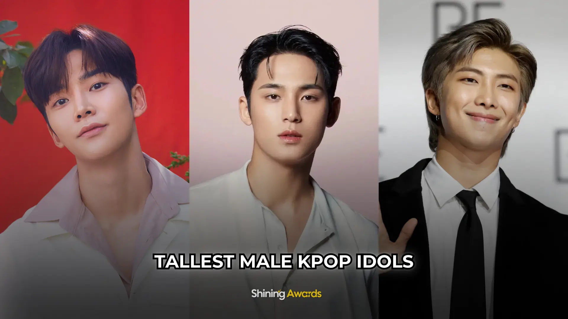 Tallest Male Kpop Idols