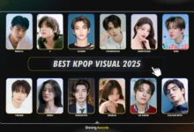Best Kpop Visual 2025
