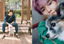 K-pop idols who love their pets like family
