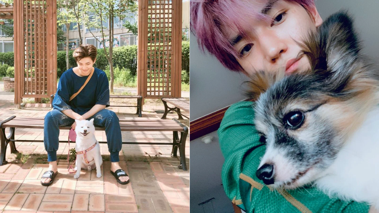 K-Pop Idols Who Cherish Their Pets as Family 1 K-pop idols who love their pets like family